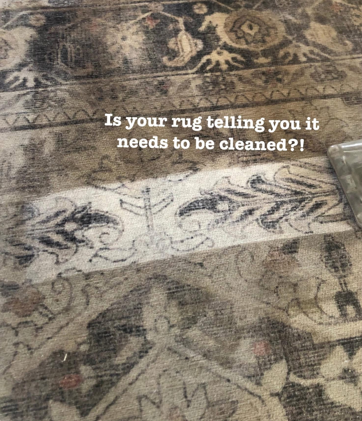 Rug Cleaning That Revives and Refreshes Service